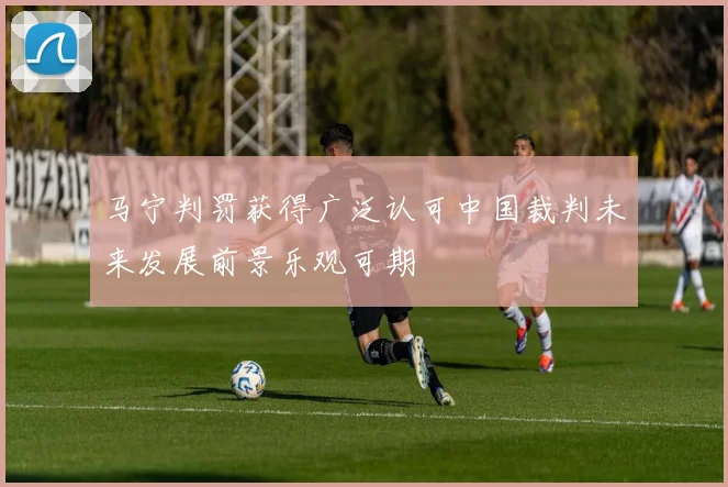 马宁判罚获得广泛认可中国裁判未来发展前景乐观可期
